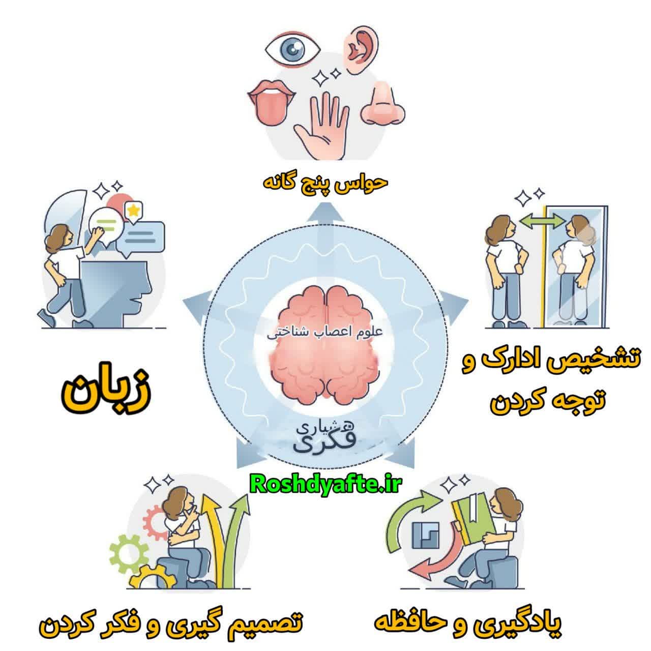 حواس پنجگانه نوزوساینس حس ششم حس پنجگانه